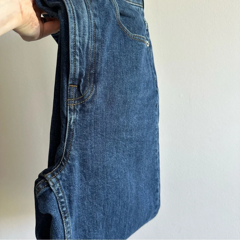 Everlane Way High Jean 26 Long